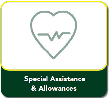 SpecialAssistance& AllowanceYellow